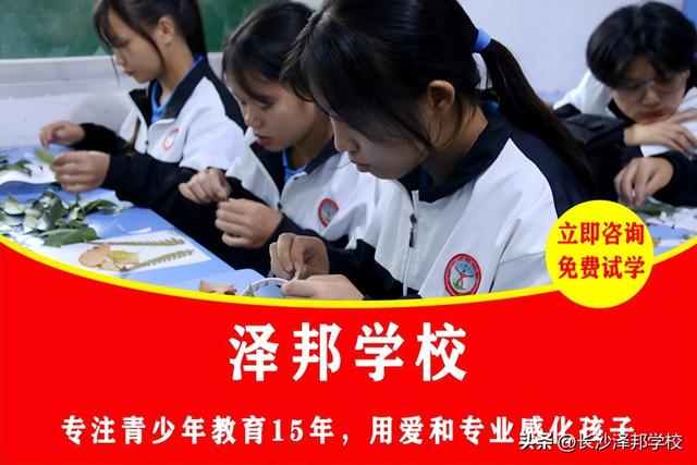 东莞叛逆孩子学校哪家好，东莞重庆叛逆孩子学校哪家好？