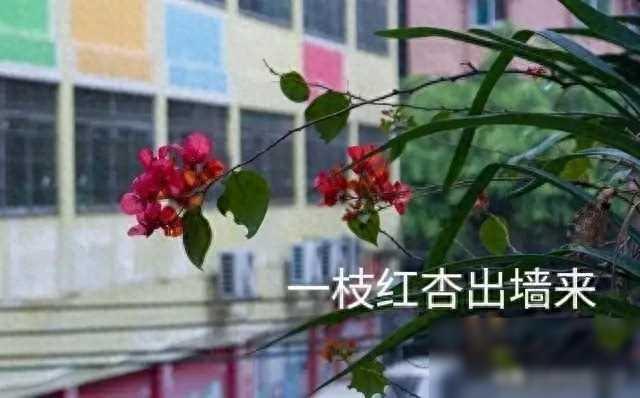 深圳女人出轨该挽回婚姻，深圳挽回婚姻的方法？